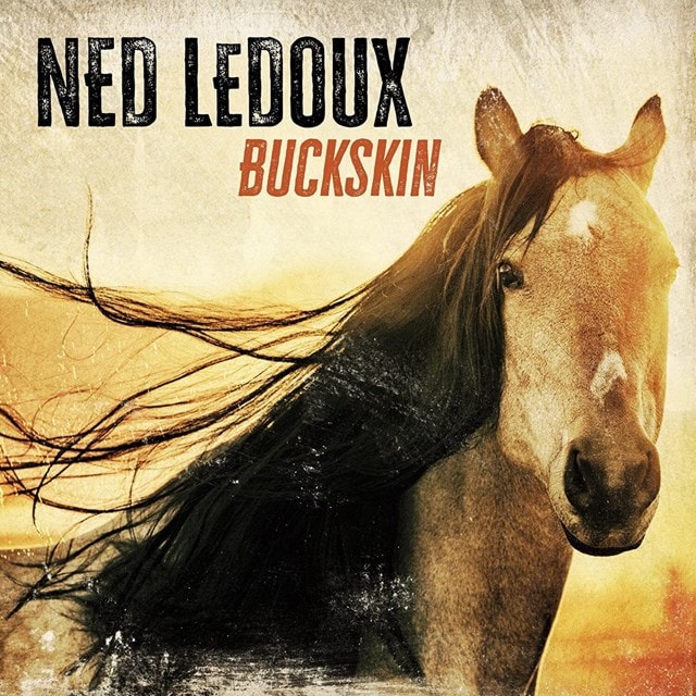 Buckskin - 1