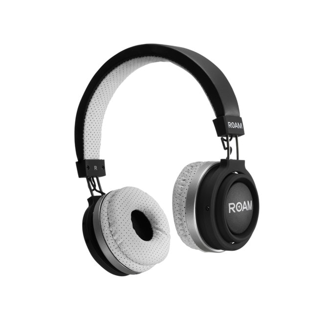 roam headphones sport