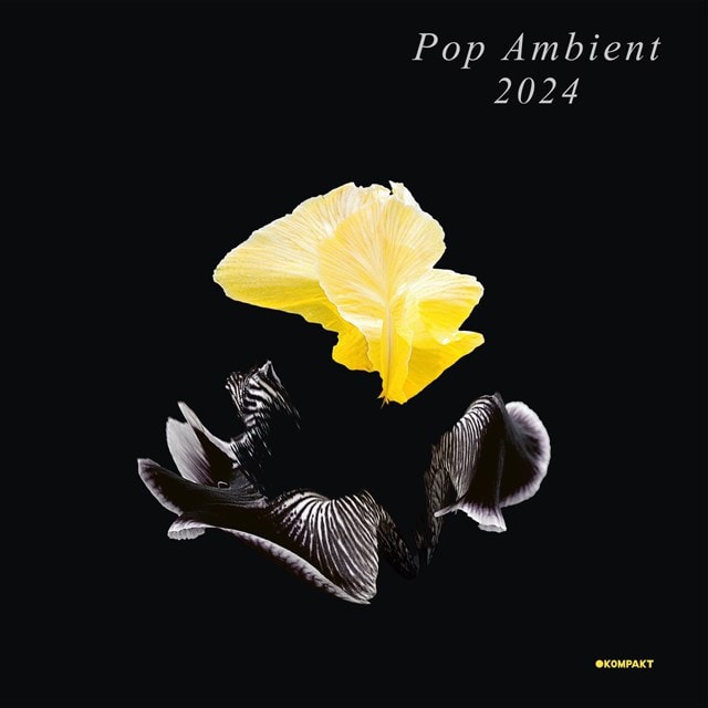 Pop Ambient 2024 Vinyl 12" Album Free shipping over £20 HMV Store