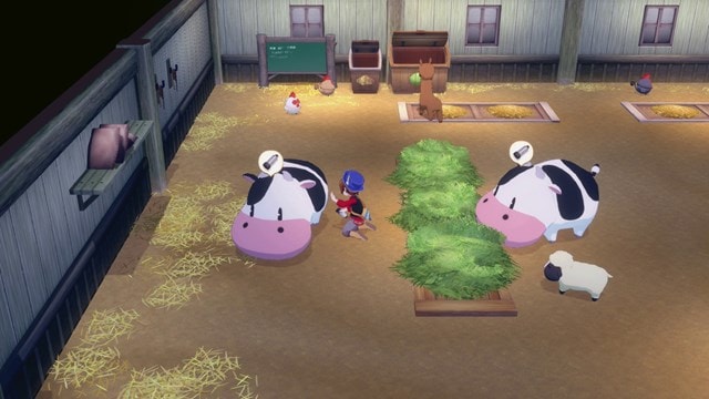 STORY OF SEASONS: Grand Bazaar - Limited Edition (Switch) - 3