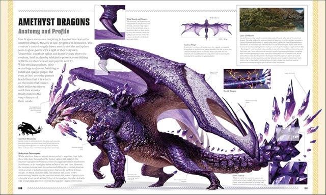 Dungeons & Dragons The Book Of Dragons D&D Hardback - 10
