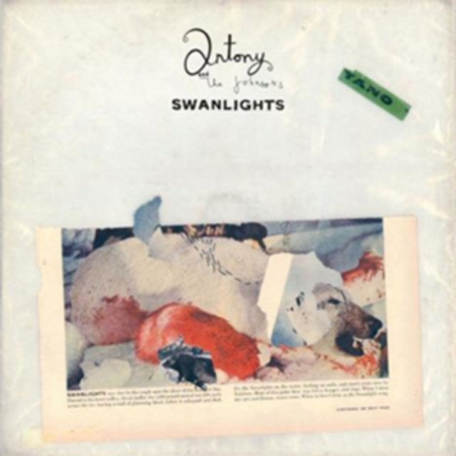 Swanlights - 1