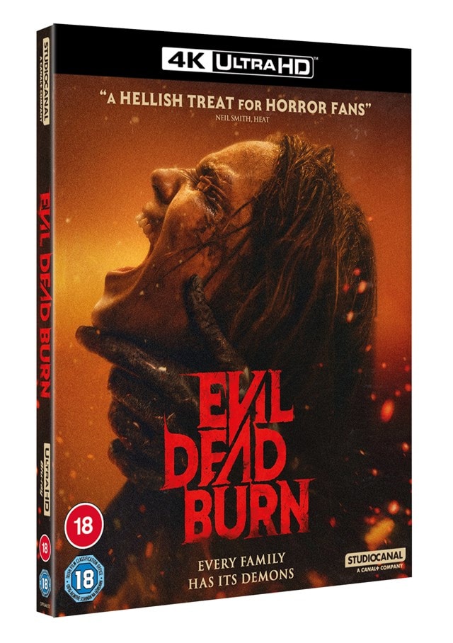 Evil Dead Burn - 2