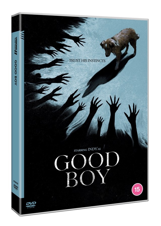 Good Boy - 2