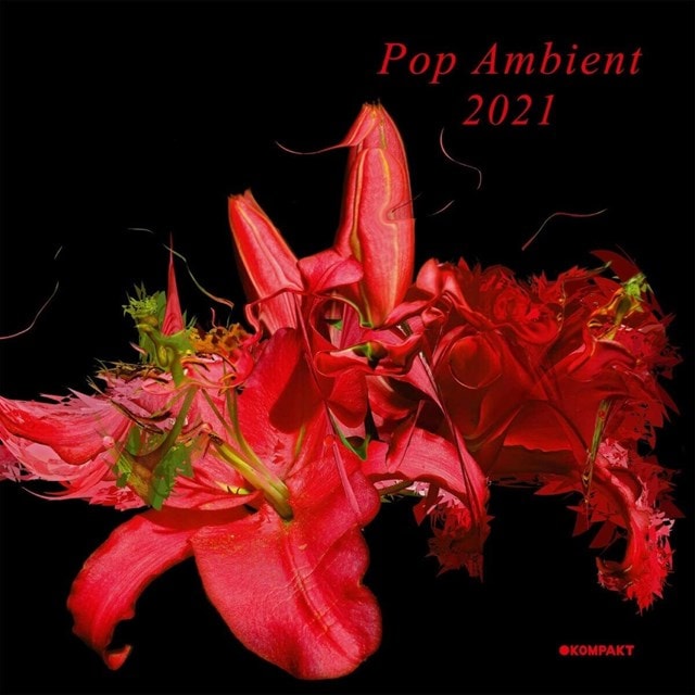 Pop Ambient 2021 - 1