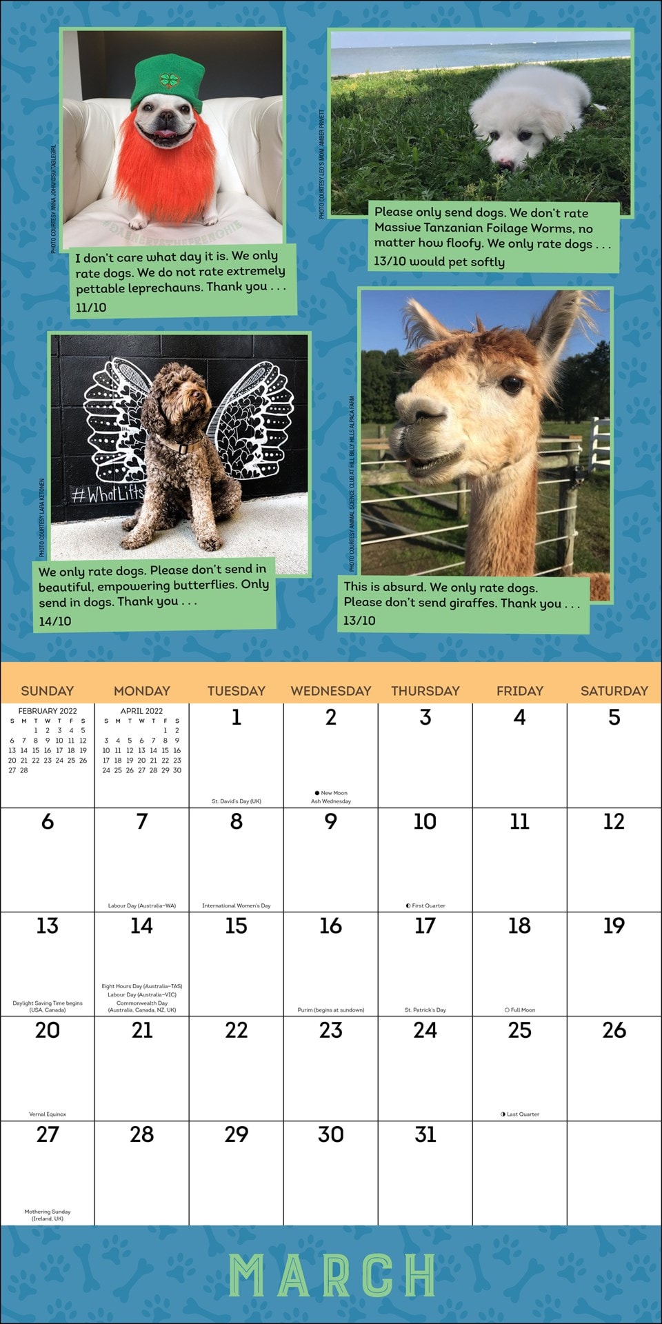 We Only Rate Dogs Square 2022 Calendar | Calendars | Free shipping over