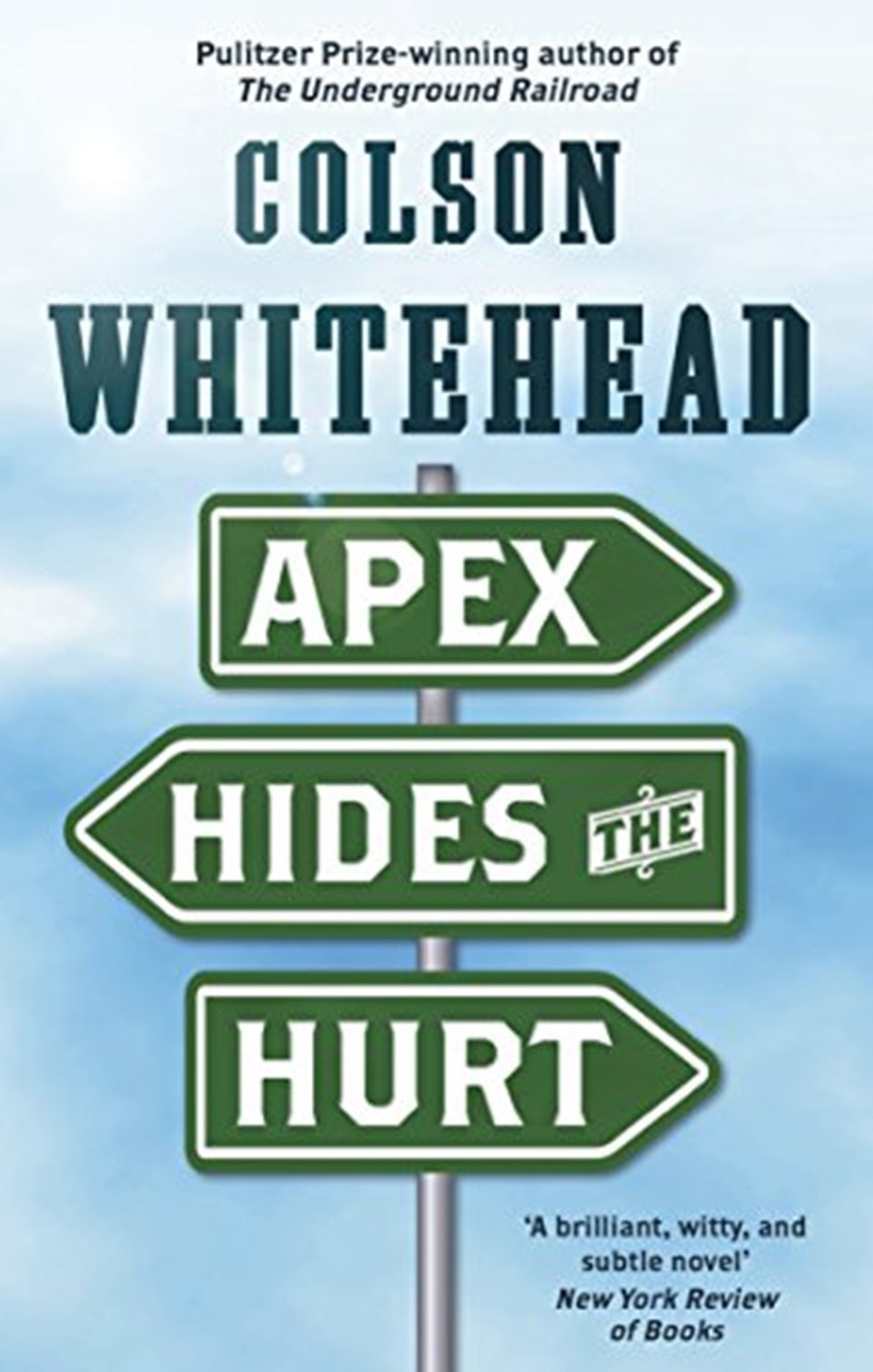 Apex Hides The Hurt Books Free shipping over £20 HMV Store