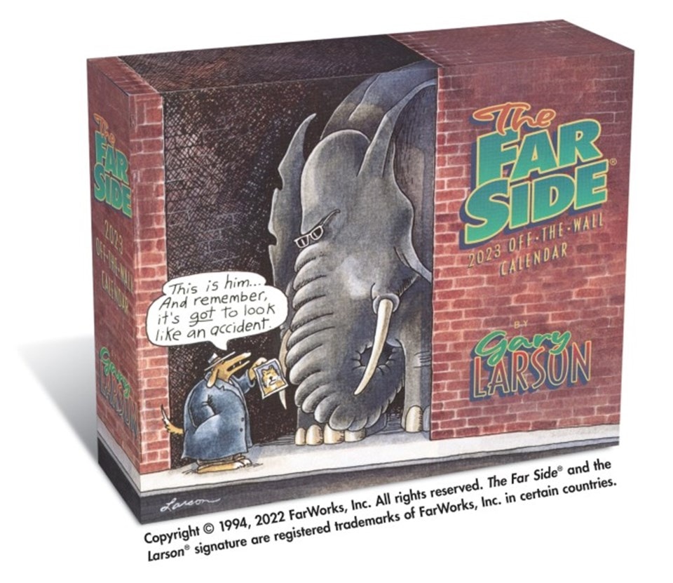 The Far Side 2023 DayToDay Calendar Calendar Free shipping over £