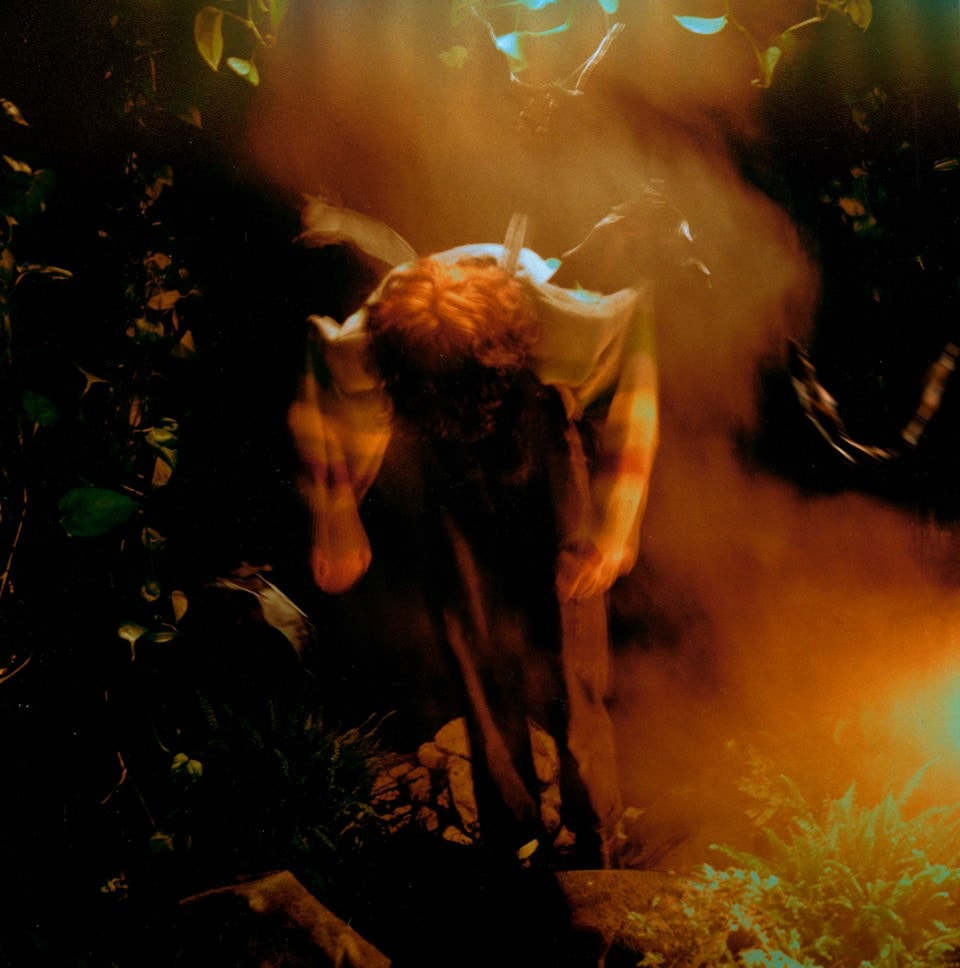 worm food (hmv Exclusive) Alternative Cover CD Album Free shipping